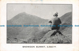 R113836 Snowdon Summit. Mr. D. Tryon. 1948 - Monde