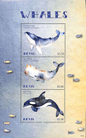 Nevis 2018 Whales 3v M/s, Mint NH, Nature - Sea Mammals - St.Kitts-et-Nevis ( 1983-...)