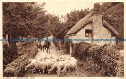 R113844 Lynton. A Devonshire Lane. Photochrom. No 32518. 1935 - Monde