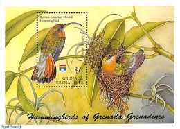 Grenada Grenadines 1992 Rufous-brested Hermit Hummingbird S/s, Mint NH, Nature - Birds - Grenada (1974-...)