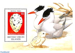 Virgin Islands 1990 Royal Tern S/s, Mint NH, Nature - Birds - Britse Maagdeneilanden