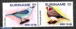 Suriname, Republic 2018 UPAEP, Birds 2v [:], Mint NH, Nature - Birds - U.P.A.E. - Surinam
