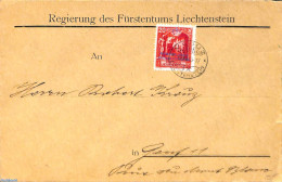 Liechtenstein 1933 Official Mail With Mi.No D3A (perf. 10.5), Postal History - Briefe U. Dokumente