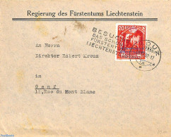 Liechtenstein 1932 Official Mail With Mi. No. D3B (perf. 11.5), Postal History - Storia Postale