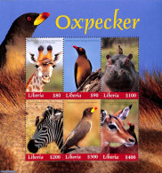 Liberia 2018 Oxpecker 6v M/s, Mint NH, Nature - Animals (others & Mixed) - Birds - Giraffe - Hippopotamus - Zebra - Other & Unclassified