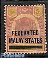 Malaysia 1900 Federated States, 5c, Stamp Out Of Set, Unused (hinged), Nature - Cat Family - Other & Unclassified