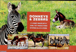 Liberia 2018 Donkeys And Zebras 3v M/s, Mint NH, Nature - Animals (others & Mixed) - Zebra - Autres & Non Classés