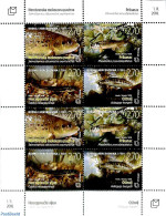 Bosnia Herzegovina - Croatic Adm. 2018 Fish M/s, Mint NH, Nature - Fish - Fishes