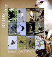 Tonga 2018 Birds Of Prey 12v M/s, Mint NH, Nature - Birds - Birds Of Prey - Other & Unclassified