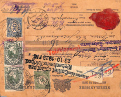 Netherlands 1923 Parcel Card From Warmoesstraat Amsterdam To Copenhagen, Postal History - Brieven En Documenten