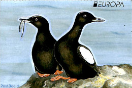 Faroe Islands 2019 Europa, Birds Booklet S-a, Mint NH, History - Nature - Europa (cept) - Birds - Stamp Booklets - Non Classificati