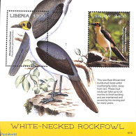 Liberia 2019 White Necked Rockfowl 2v M/s, Mint NH, Nature - Birds - Other & Unclassified