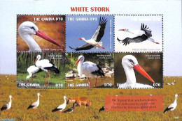 Gambia 2019 White Stork 6v M/s, Mint NH, Nature - Birds - Gambia (...-1964)