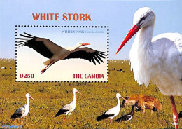 Gambia 2019 White Stork S/s, Mint NH, Nature - Birds - Gambie (...-1964)