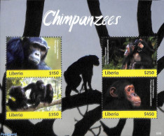 Liberia 2019 Chimpanzees 4v M/s, Mint NH, Nature - Animals (others & Mixed) - Monkeys - Autres & Non Classés