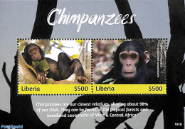 Liberia 2019 Chimpanzees 2v M/s, Mint NH, Nature - Animals (others & Mixed) - Monkeys - Other & Unclassified
