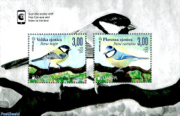 Bosnia Herzegovina - Croatic Adm. 2019 Europa, Birds S/s, Mint NH, History - Nature - Europa (cept) - Birds - Bosnien-Herzegowina