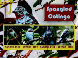 Guyana 2019 Spangled Cotinga 4v M/s, Mint NH, Nature - Birds - Guiana (1966-...)