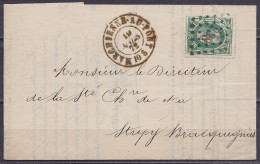 L. Affr. N°30  Lpts "238" Càd MARCHIENNE-AU-PONT /19 MARS 1872 Pour STREPY BRACQUEGNIES (au Dos: Cachet "Société Anonyme - 1869-1883 Leopold II