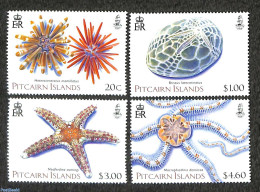 Pitcairn Islands 2019 Echinoderms 4v, Mint NH - Otros & Sin Clasificación