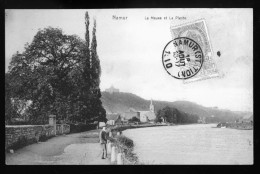 1065 - BELGIQUE - NAMUR - La Meuse Et La Plante - Namur