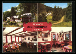 AK Thiemitz /Frankenwald, Pension Zum Forsthaus L. Günther-Schmidt  - Hunting