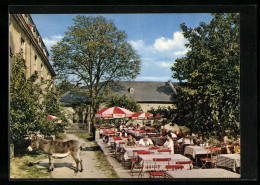 AK Gattendorf Bei Hof, Schloss Gattendorf, Hotel-Pension-Restaurant-Cafe, Terrasse Mit Esel  - Hof