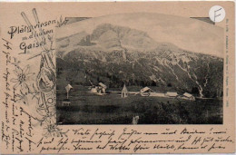 Prato Piazza E La Croda Rossa D'Ampezzo Val Pusteria Sud Tirol Litho Con Annullo Hotel Durenstein 1899 - Bolzano (Bozen)