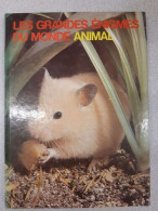 Los Grandes Enigmas Del Mundo Animal: Animales En El Hogar - Sin Clasificación