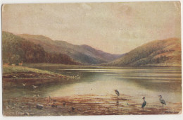 Loch Dhu. Around The Black Loch In Bute - (Scotland) - 1927 - Scottish Lochs. Series V No. 7167 - Raphael Tuck & Sons - Bute