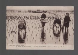 CPA - 33 - N°48 - Parc Aux Huitres - Bassin D'Arcachon - Travaux De Nettoyage - Animée - Circulée En 1923 - Arcachon