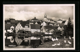 AK Böblingen, Teilansicht Mit Gänsen Am Weiher  - Boeblingen