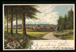 Lithographie Königsfeld, Feldweg Zur Stadt  - Altri & Non Classificati