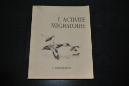 OBERTHUR L'activité Migratoire Illustrations De L'auteur 1947 Oiseaux Mammifères Poissons Amphibiens Invertébrés Reptile - Tiere