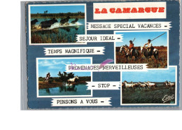 EN CAMARGUE - Les Chevaux Et Taureau Sauvage Gardians Manade - Horses