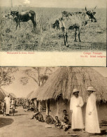 Congo Français Bétail Indigène Missions D'Afrique Un Village Congolais Lot De 2 Cartes Postales - Frans-Kongo