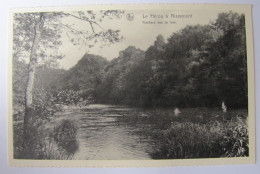 BELGIQUE - LUXEMBOURG - LAROCHE-EN-ARDENNE - NISRÂMONT - Le Hérou - Rochers Vus Du Bas - La-Roche-en-Ardenne