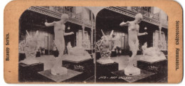 Stereo-Fotografie Statuen In Der Art Gallery, Kunst  - Stereoscopic