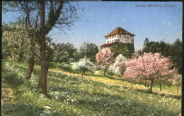 10581098 Winterthur ZH Schloss Moersburg  Ungelaufen Ca. 1920 Winterthur - Autres & Non Classés