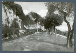 Delcampe - °°° Cartolina N. 3788 - Boville Ernica Passeggiata Della Circonvallazione Nuova °°° - Frosinone