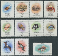 Tonga 1988 SG999-1016 Marine Life 1988 SPECIMEN Series (11) MNH - Tonga (1970-...)