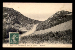 22 - PLENEUF - CHEMIN DE LA GREVE DE NANTOIS - Pléneuf-Val-André