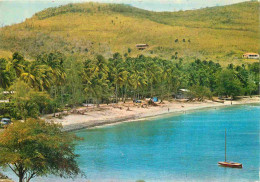 Martinique - Anse Mitan - La Plage - CPM - Voir Scans Recto-Verso - Sonstige & Ohne Zuordnung