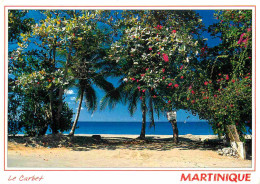 Martinique - Le Carbet - Plage - CPM - Voir Scans Recto-Verso - Otros & Sin Clasificación