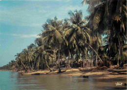 Afrique Noire - Afrique En Couleurs - 8215 - Plage De Cocotiers - CPM - Voir Scans Recto-Verso - Unclassified