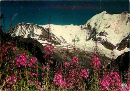 74 - Chamonix - Mont-Blanc - Coucher De Soleil Sur Le Mont-Blanc - CPM - Voir Scans Recto-Verso - Chamonix-Mont-Blanc