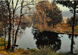 19 - Corrèze - Le Limousin - Matin D'automne Sur La Vézère - Carte Neuve - CPM - Voir Scans Recto-Verso - Other & Unclassified