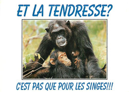 Animaux - Singes - Chimpanzé - Carte à Message - Carte Neuve - CPM - Voir Scans Recto-Verso - Apen