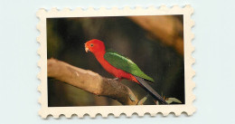 Animaux - Oiseaux - Perroquet - Découpe Originale En Forme De Timbre - CPM - Voir Scans Recto-Verso - Birds