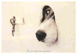 Animaux - Chiens - Race à Définir - Photo Artistique - CPM - Voir Scans Recto-Verso - Dogs